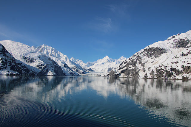 Alaska CruiseTour - Connoisseur Escorted